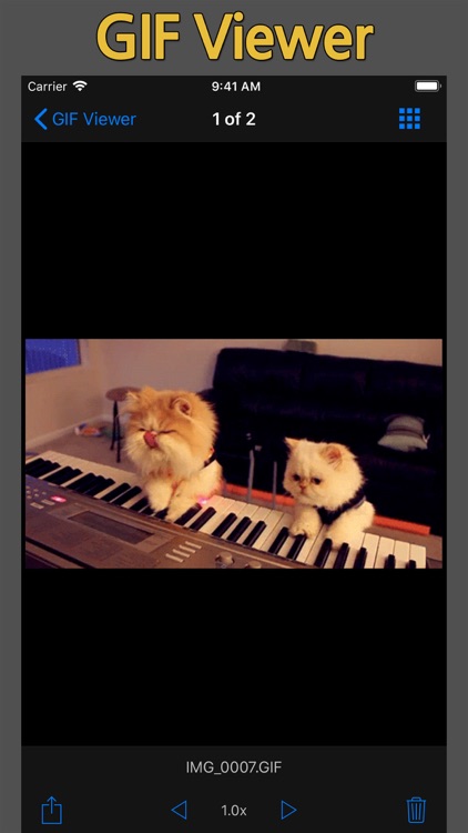 GIF Cracker - GIF to Video screenshot-3