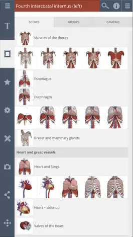 Game screenshot Primal's 3D Thorax apk