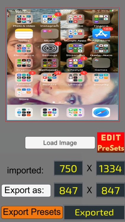 Pixel Resizer: Custom Metadata screenshot-1