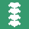 INSELhealth - spinal surgery icon