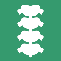 INSELhealth - spinal surgery