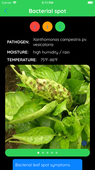 Tomato Disease Identifier Screenshot