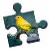 Bird Watching Puzzle icon