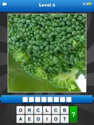 Guess the Close Up - Pics Quiz ipad bilder 2