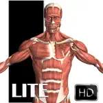 Visual Anatomy Lite App Cancel