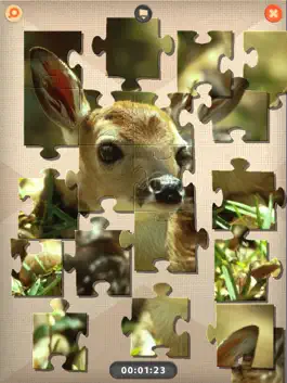 Game screenshot PuzzleX apk