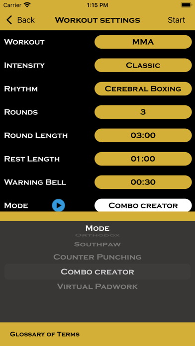 Precision Boxing Coach Pro Screenshot
