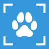 Dog Breed Identifier - PupDex icon