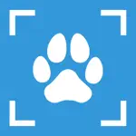 Dog Breed Identifier - PupDex App Contact