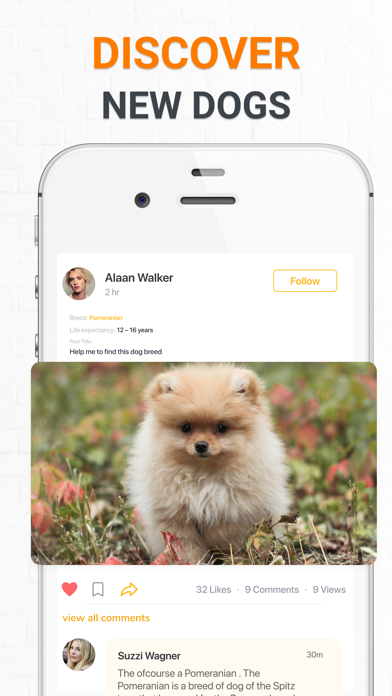 Dog Scanner Dog Breed Photo ID Screenshot
