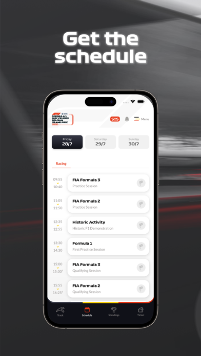 F1 Spa GP Screenshot