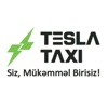 Tesla Taxi