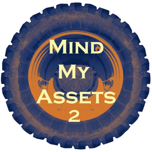Mind My Assets 2