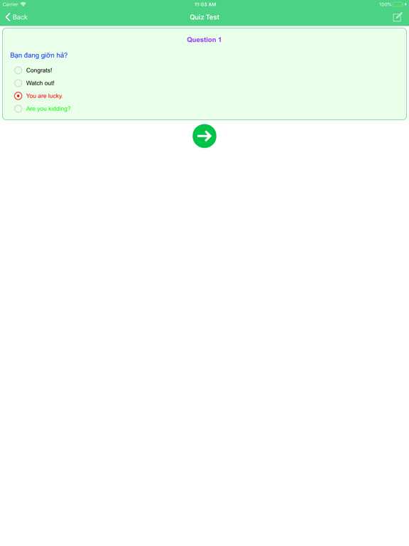 Tieng Anh Giao Tiep Pro iPad screenshot 4 - Education app