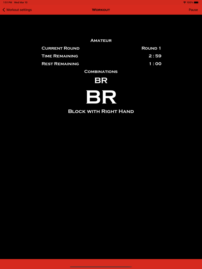 Precision Boxing Coach Lite