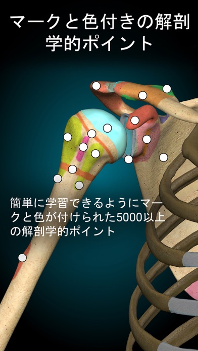 Anatomy Learning - 3Dアナトミーのおすすめ画像3