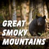 Great Smoky National Park Tour - iPadアプリ