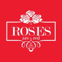 Roses Flowers Bouquet Baku