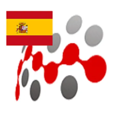 SPANISH VERB CONJUGATION +QUIZ Cheats