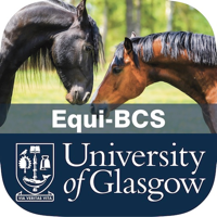 Equine Body Condition Scoring