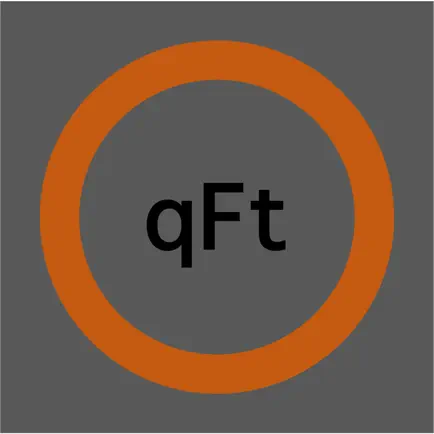qFt Читы
