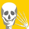 Enjoy Learning Anatomy puzzle icon