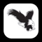 The Eagle Harbor app is your mobile community hub for information on upcoming events and immediate push notifications during emergencies and other community related information