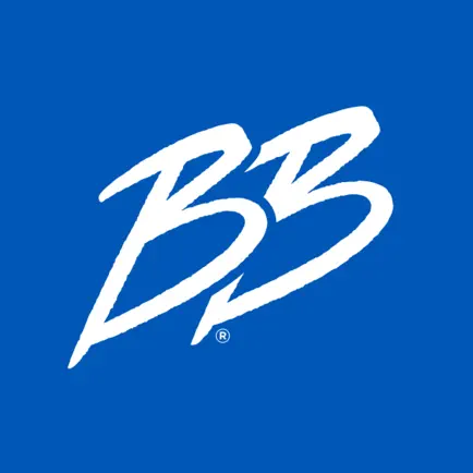 Brick Bodies Читы