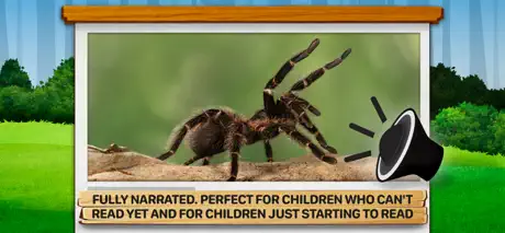 Bugs 2: What Are They Like?