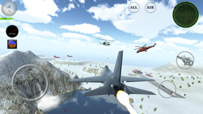 Fighter 3D Multiplayer Screenshot