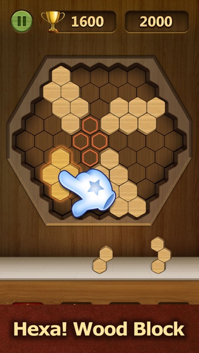 3D Wood Block Puzzle : Hexa! Screenshot