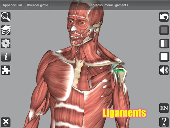 3D Anatomy iPad app afbeelding 4