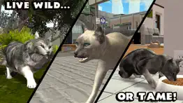 ultimate cat simulator iphone capturas de pantalla 3