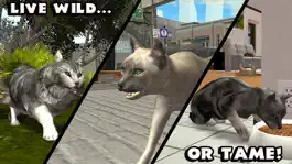 Game screenshot Ultimate Cat Simulator hack