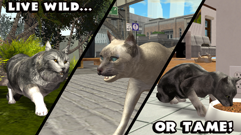 #3. Ultimate Cat Simulator (iOS) 由: Gluten Free Games
