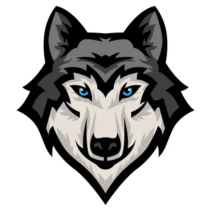 PS 96 Richard Rodgers School Читы