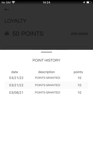 Eleventh Street Pizza Screenshot
