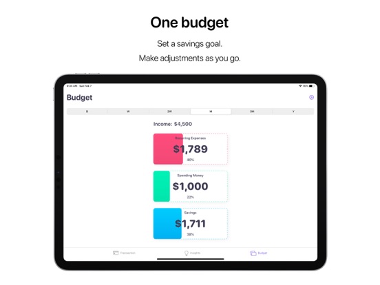 Nudget: Spending Tracker iPad app afbeelding 6