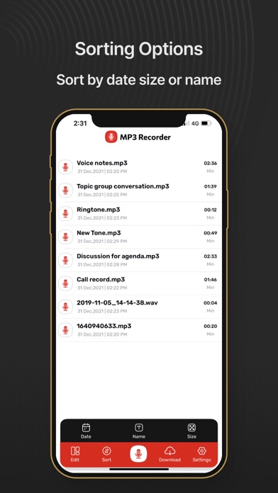 Voice Recorder HD - MP3 Memos Screenshot