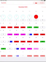 dienstplan-kalender ipad bildschirmfoto 1