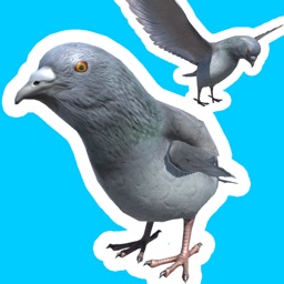 Pigeon JUMP-Too difficult game