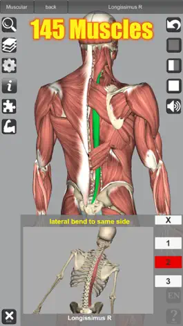 Game screenshot 3D Anatomy apk