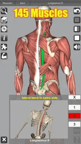 Game screenshot 3D Anatomy apk