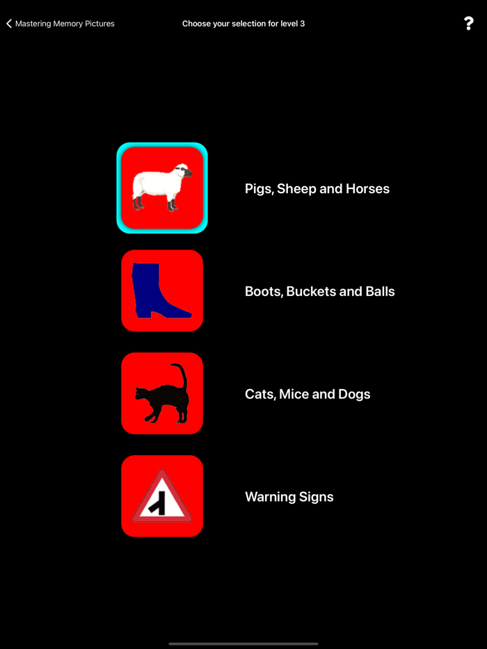 Mastering Memory Pictures