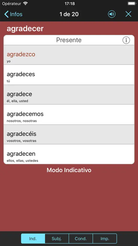 SoftPhoneApp