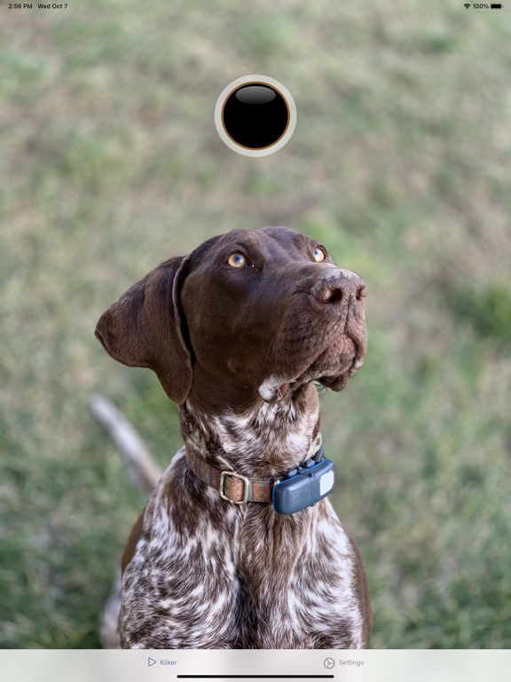 Screenshot #4 pour Dog Clicker