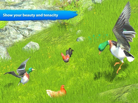 Duck Game Bird Simulator iPad screenshot 6 - Games app