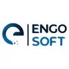 ENGOSOFT problems & troubleshooting and solutions