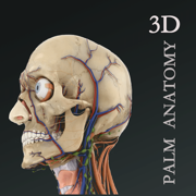 掌上3D解剖-人体解剖图谱和课程