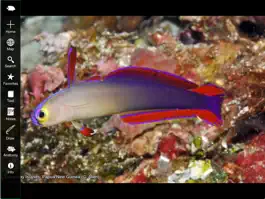 Game screenshot Reef Fishes of East Indies V3 hack